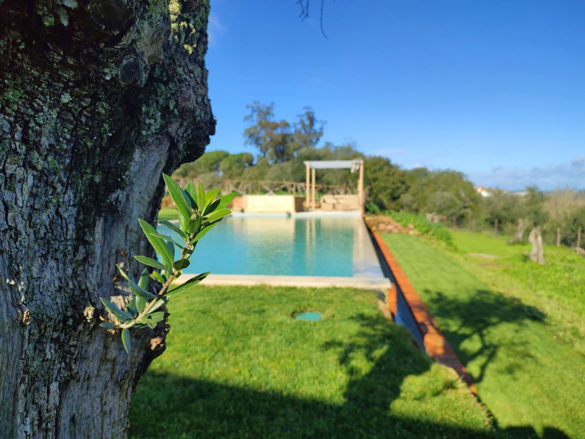 Quinta De Matrena Villa Macieiros ภายนอก รูปภาพ