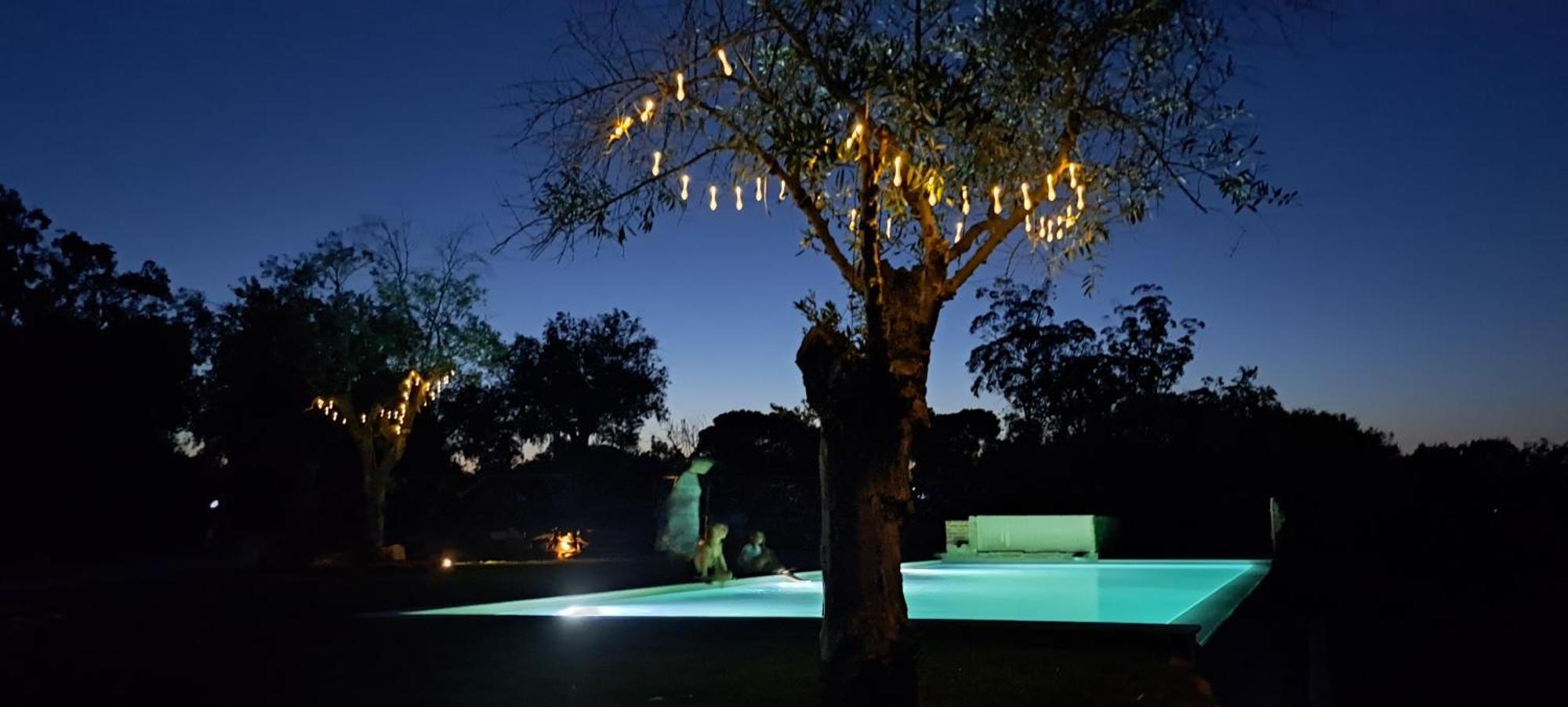 Quinta De Matrena Villa Macieiros ภายนอก รูปภาพ